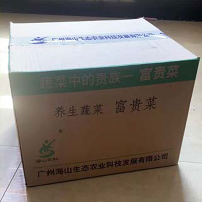 長壽菜種植